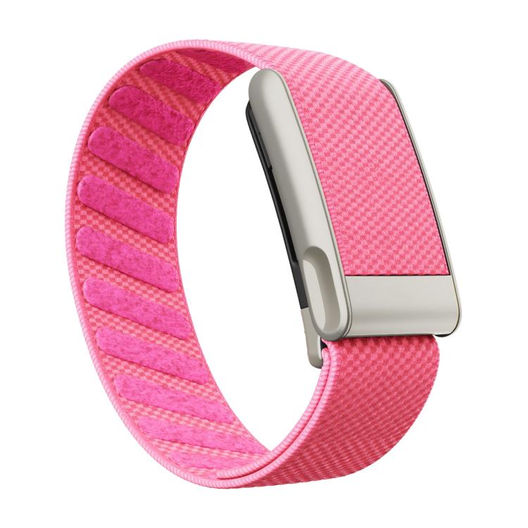 Elastic Force Decorative Design Nylon Watch Band, For WHOOP 5.0 Electrocardiogram, For WHOOP 5.0 Regular