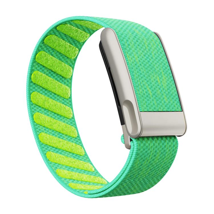 Elastic Force Decorative Design Nylon Watch Band, For WHOOP 5.0 Electrocardiogram, For WHOOP 5.0 Regular