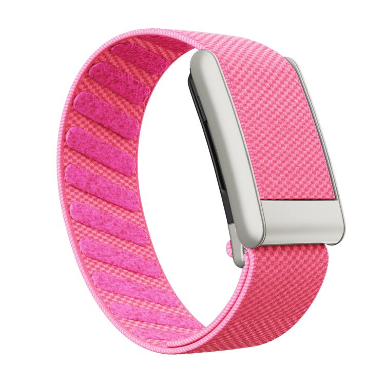 Elastic Force Decorative Design Nylon Watch Band, For WHOOP 5.0 Electrocardiogram, For WHOOP 5.0 Regular