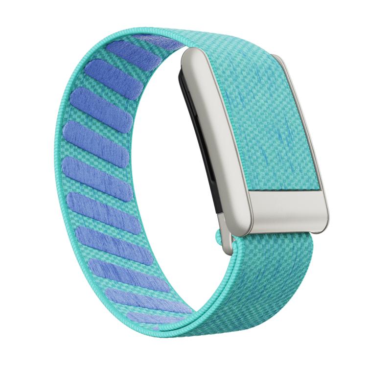 Elastic Force Decorative Design Nylon Watch Band, For WHOOP 5.0 Electrocardiogram, For WHOOP 5.0 Regular