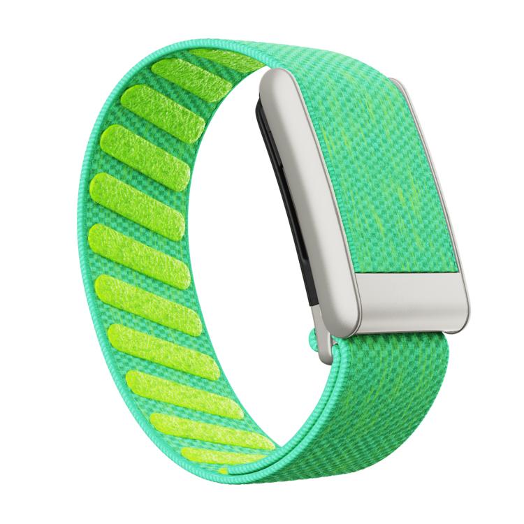 Elastic Force Decorative Design Nylon Watch Band, For WHOOP 5.0 Electrocardiogram, For WHOOP 5.0 Regular